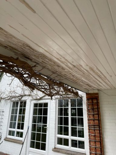 external wood repair and finish