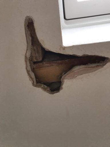 ceiling repair