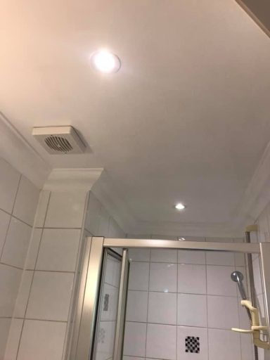 bathroom ceiling repair